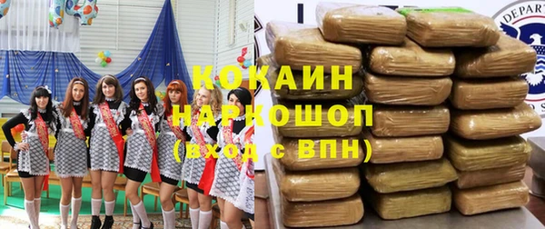 мет Няндома