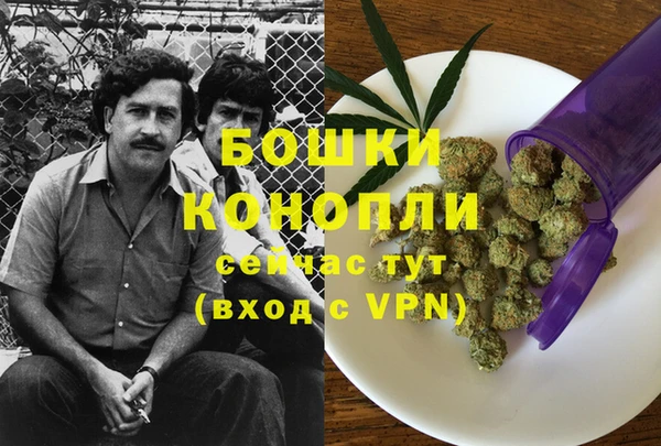 мет Няндома