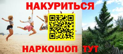 крисы Балашиха