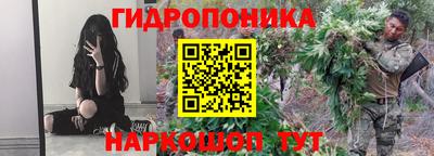 мдпв Гусь-Хрустальный