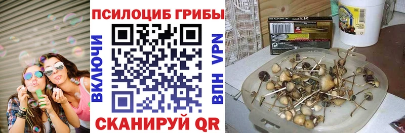 Галлюциногенные грибы прущие грибы  мега онион  Зеленодольск 