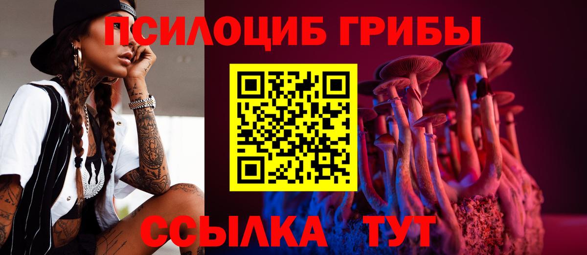 Псилоцибиновые грибы мицелий  Вход с VPN  Зеленодольск  Псилоцибиновые грибы MAGIC MUSHROOMS 